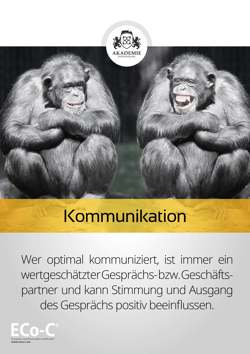 Seminar - Eco-C Modul Kommunikation 
- 
Naturbursch Training Riegersburg - Teamtraining, Kletterkurse, Hochseilgarten