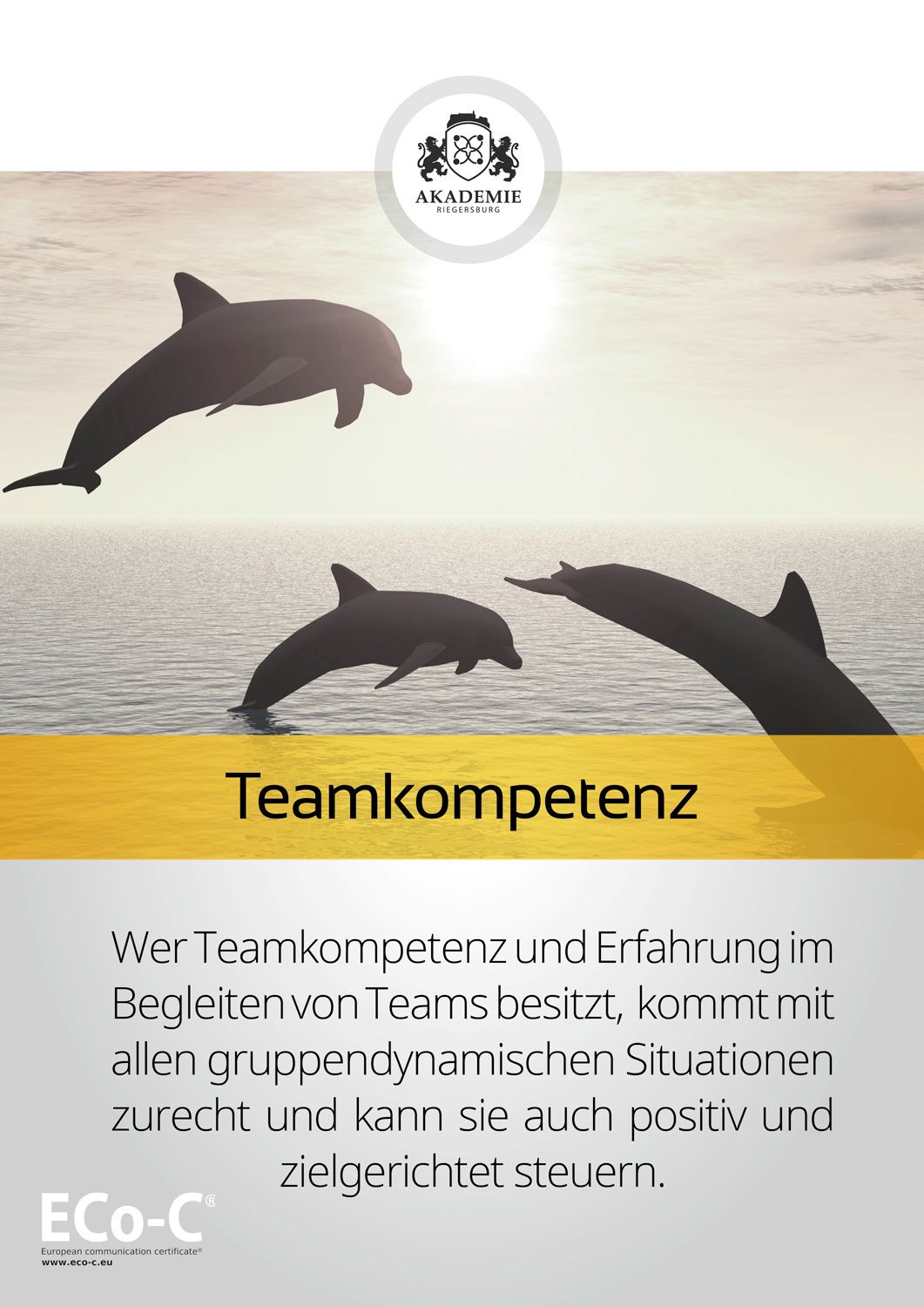 Seminar - Eco-C Modul Teamkompetenz 
- 
Naturbursch Training Riegersburg - Teamtraining, Kletterkurse, Hochseilgarten