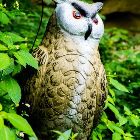 3D Bogenparcours 
- 
Naturbursch Training Riegersburg - Teamtraining, Kletterkurse, Hochseilgarten