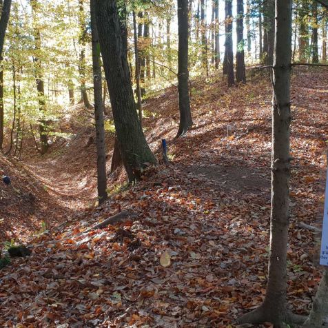 3D Bogenparcours 
- 
Naturbursch Training Riegersburg - Teamtraining, Kletterkurse, Hochseilgarten